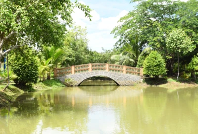 CHO THUÊ XE ĐI BẾN LỨC GIÁ RẺ TẠI SÀI GÒN