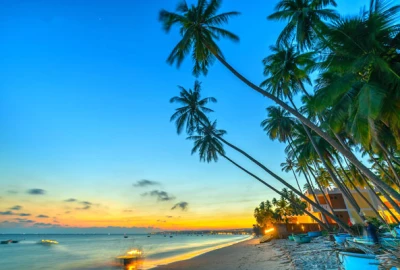 BẢNG GIÁ CHO THUÊ XE ĐI MŨI NÉ PHAN THIẾT | XE 4 7 16 29 45 CHỖ