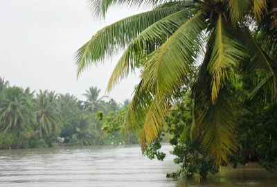 Thuê xe hợp đồng du lịch Sài Gòn đi Mỏ Cày | Xe 4 - 7 - 16 - 29 - 45 chỗ