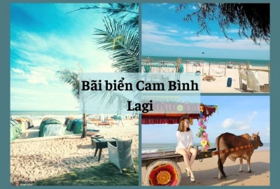 CHO THUÊ XE DU LỊCH ĐI LAGI COCOBECH GIÁ RẺ