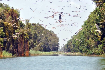 CHO THUÊ XE ĐI MỘC HÓA KIẾN TƯỜNG GIÁ RẺ TẠI SÀI GÒN