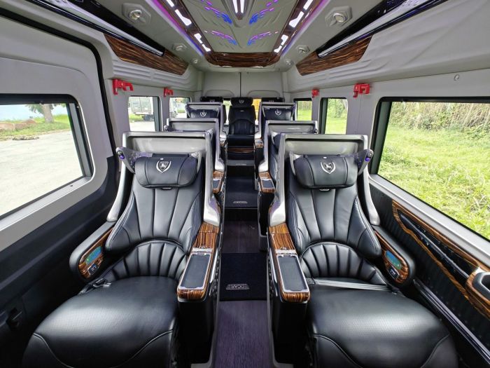 Nội thất cao cấp trên xe Limousine 12 chỗ Dcar