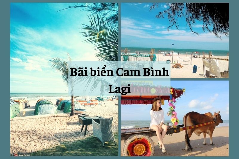 thue xe di lagi bien cam binh