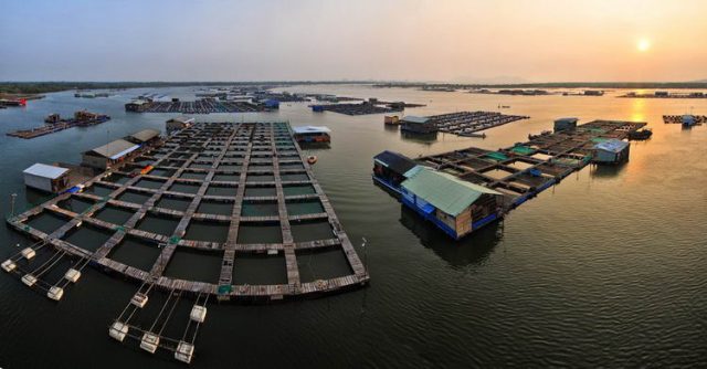 Làng bè Long Sơn, điểm đến cuối tuần của du khách