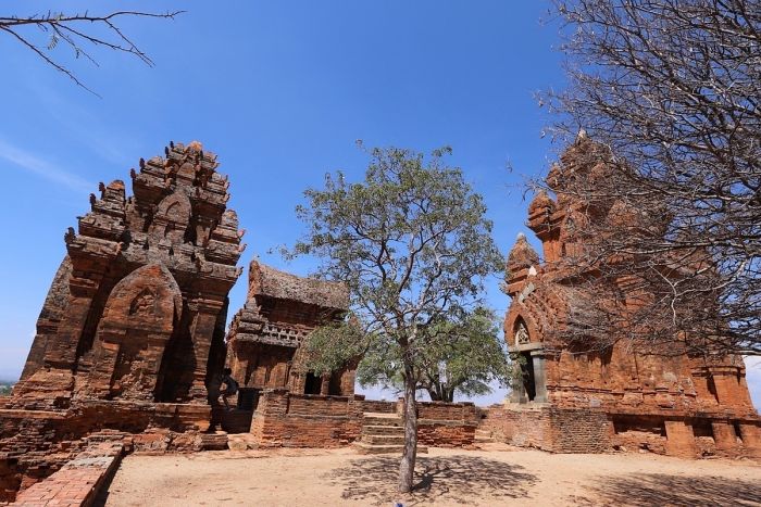 Ảnh đẹp tại Tháp Chàm Ninh Thuận