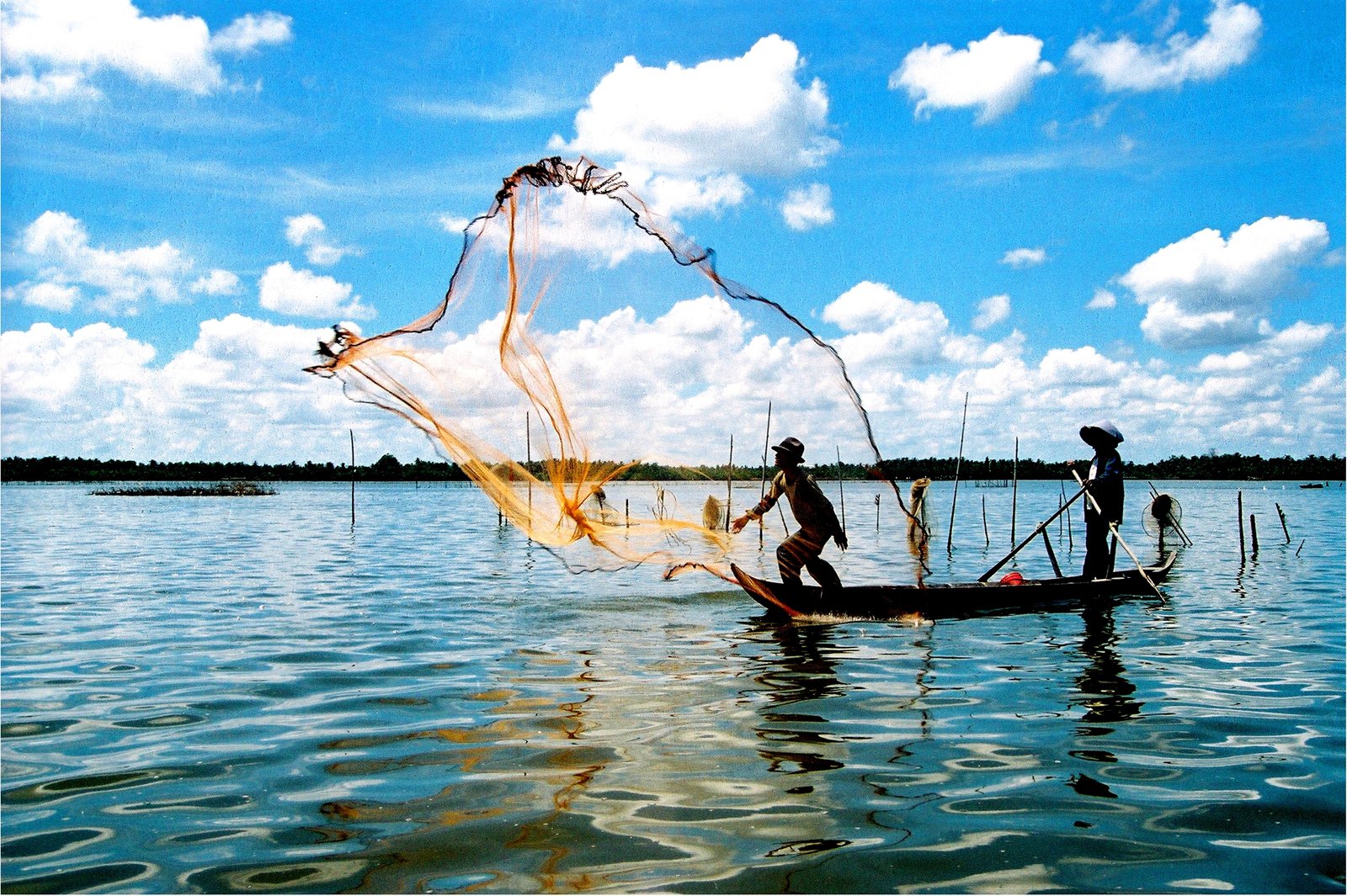 Hình ảnh giăng lưới bắt cá trên búng Bình Thiên (Ảnh: ST)
